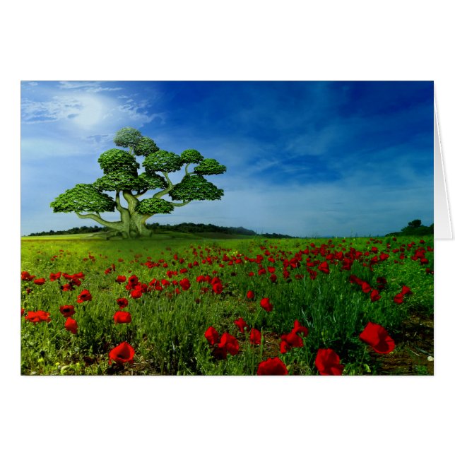 Wunderbare Welt (Vorderseite (Horizontal))