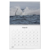 Wunderbare Welt der Wale 2015 - Kalender (Mär 2027)
