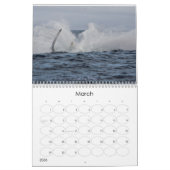 Wunderbare Welt der Wale 2015 - Kalender (Mär 2026)