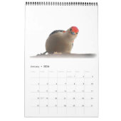 Wunderbare Welt des Speckers - Zwei-Seiten-Kalende Kalender (Jan 2026)