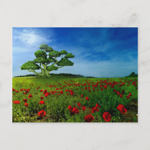 Wunderbare Welt Postkarte