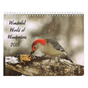 Wunderbare Welt von Spechten 2015 Kalender