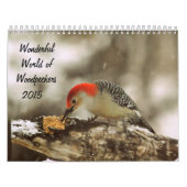 Wunderbare Welt von Spechten 2015 Kalender (Titelbild)