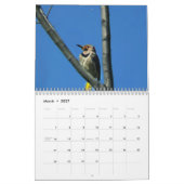 Wunderbare Welt von Spechten 2015 Kalender (Mär 2027)