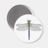 Wunderbarer Dragonfly-Magnet Magnet (Vorderseite/Rückseite)