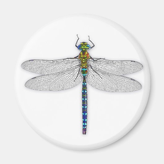 Wunderbarer Dragonfly-Magnet Magnet (Vorne)