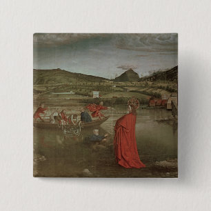 Wunderbarer Entwurf der Fische Button