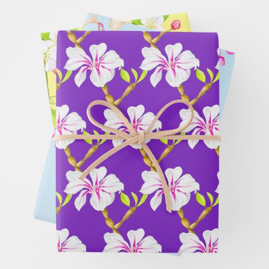 Wunderbarer Frühling beim Set von Schleifpapier (M Geschenkpapier Set (Beispiel)