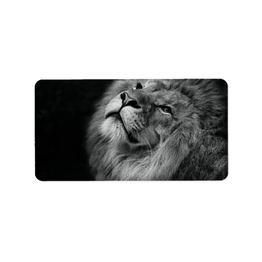 Wunderbarer Löwe Adressaufkleber (Vorne)