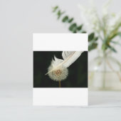 Wunderbarer Löwenzahn Postkarte (Stehend Vorderseite)