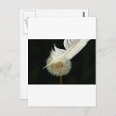 Wunderbarer Löwenzahn Postkarte (Vorne/Hinten)