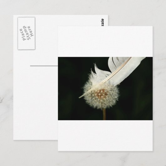 Wunderbarer Löwenzahn Postkarte (Vorne/Hinten)