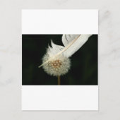 Wunderbarer Löwenzahn Postkarte (Vorderseite)