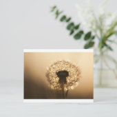 Wunderbarer Löwenzahn Postkarte (Stehend Vorderseite)