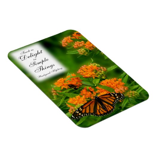 Wunderbarer Schmetterling Magnet (Rechte Seite)