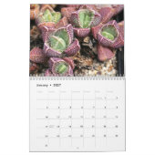 Wunderbarer Sukkulatur-Kalender Kalender (Jan 2027)