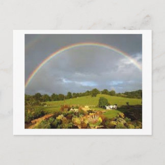 Wunderbarer Tag Postkarte