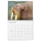 Wunderbarer Walross-Wandkalender Kalender (Mär 2027)
