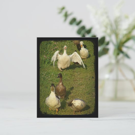 Wunderbarer Wasservogel Postkarte (Stehend Vorderseite)