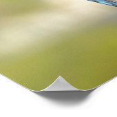 Wunderbares Blue Jay Poster oder Print (Ecke)