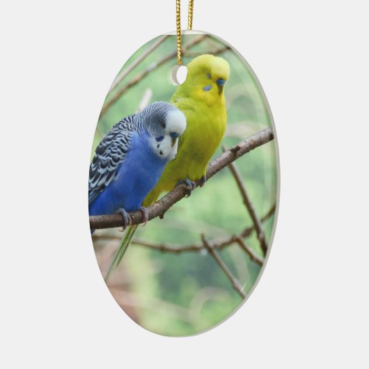 Wunderbares Budgie Keramikornament (Links)