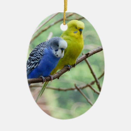 Wunderbares Budgie Keramikornament (Vorne)