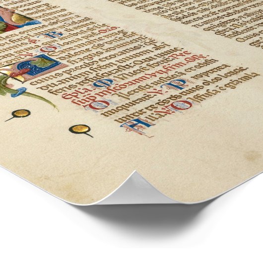 Wunderbares Illuminiertes Manuskript Poster (Ecke)