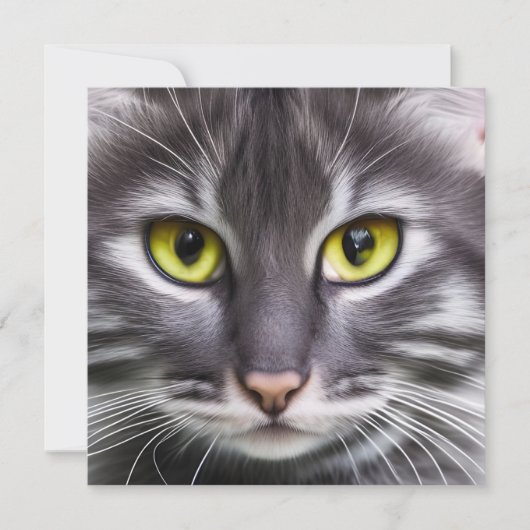 Wunderbares Katzenportrait (Vorderseite)