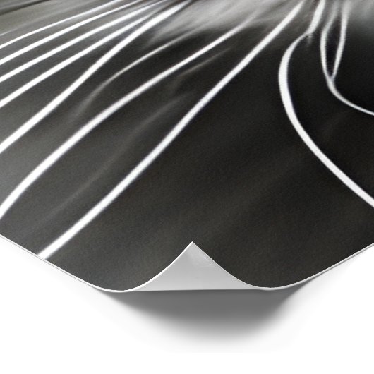 Wunderbares Katzenportrait Poster (Ecke)