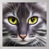 Wunderbares Katzenportrait Poster (Vorne)