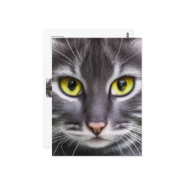 Wunderbares Katzenportrait Postkarte