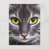 Wunderbares Katzenportrait Postkarte (Vorderseite)