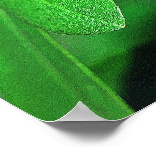 Wunderbares Lavendel-Poster II Poster (Ecke)