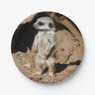 Wunderbares niedliches süßes Afrikaner Meerkat Pappteller