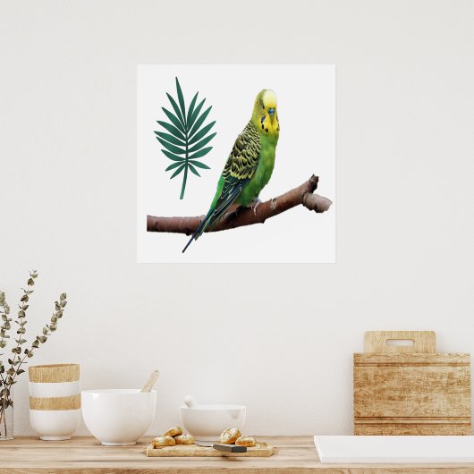 Wunderbares Wellensittich Poster (Küche)