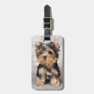Wunderbares yorkie gepäckanhänger