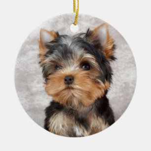 Wunderbares yorkie keramikornament