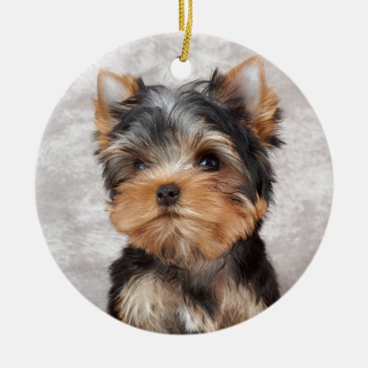 Wunderbares yorkie keramikornament (Vorne)
