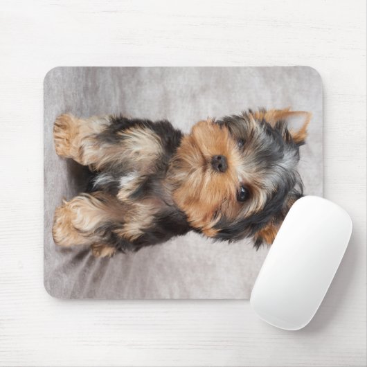 Wunderbares yorkie mousepad (Mit Mouse)