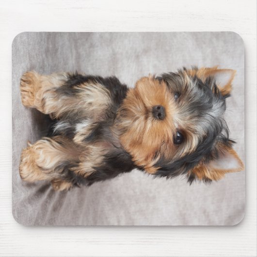 Wunderbares yorkie mousepad (Vorne)