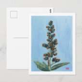 Wunderbaum Postkarte (Vorne/Hinten)
