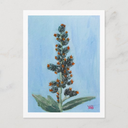 Wunderbaum Postkarte (Vorderseite)