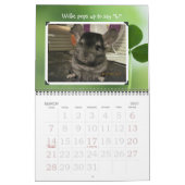 Wunderchins 2012 Kalender (Mär 2027)