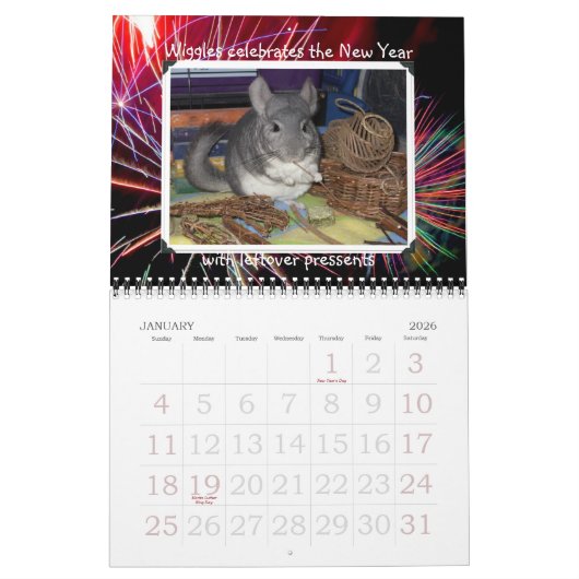Wunderchins 2012 Kalender (Jan 2026)