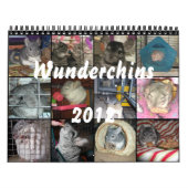 Wunderchins 2012 Kalender (Titelbild)