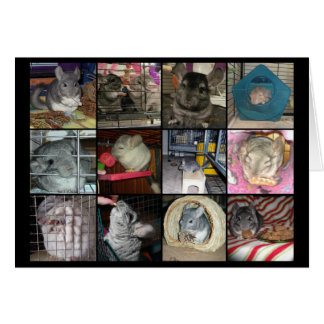 Wunderchins-Karte 2012