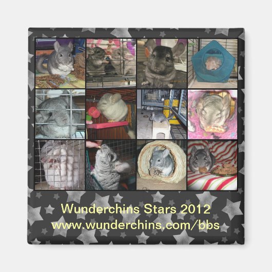 Wunderchins-Magnet 2012 Magnet (Vorne)