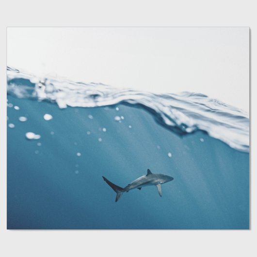 Wunderhai Geschenkpapier (Flach)