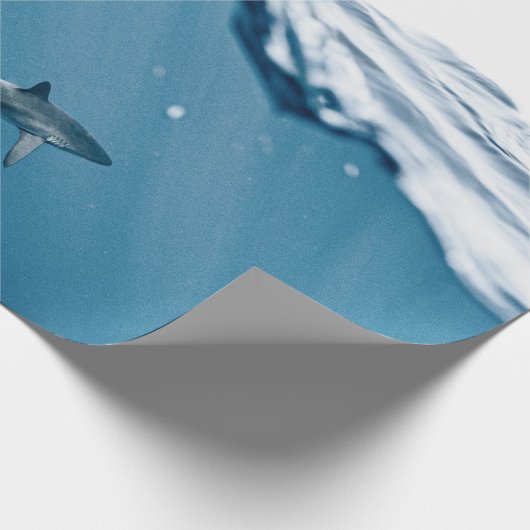 Wunderhai Geschenkpapier (Ecke)