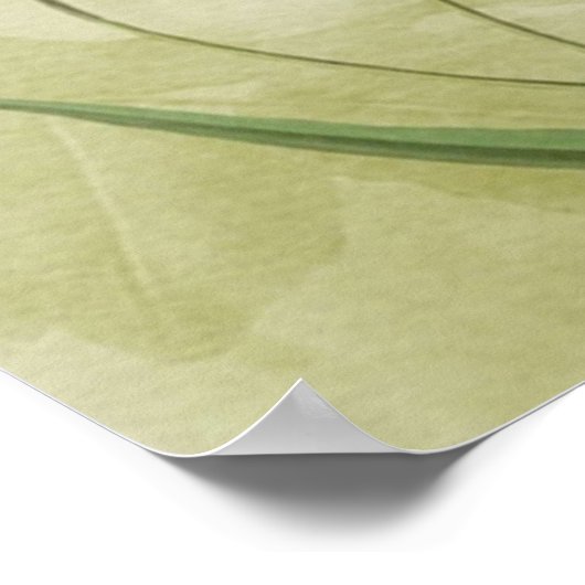 Wunderland - Bonkers Zitat - Alice im Wunderland Poster (Ecke)